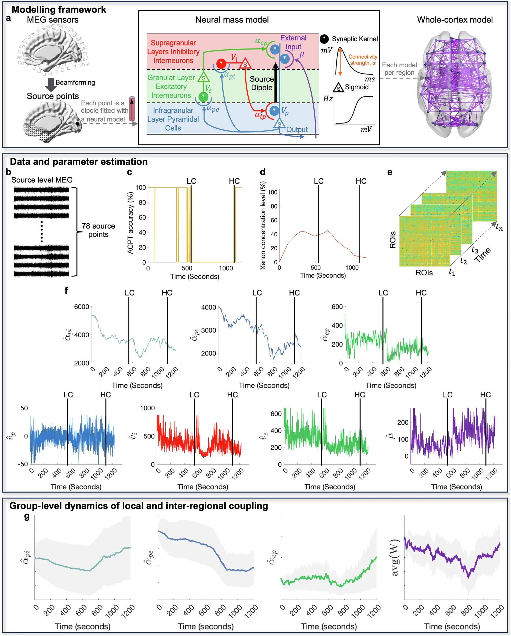 Read more about the article Cortical connectivity, local dynamics and stability correlates of global conscious states