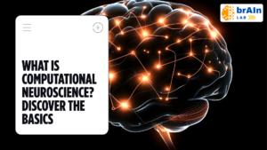 Read more about the article What Is Computational Neuroscience?