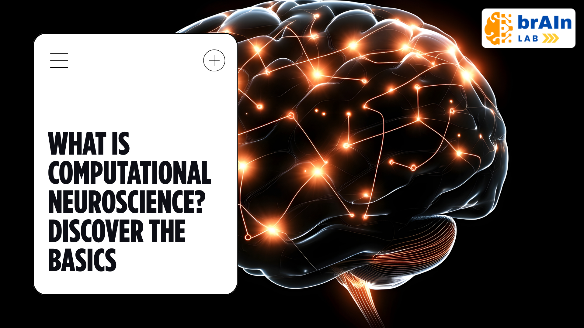 Read more about the article What Is Computational Neuroscience?