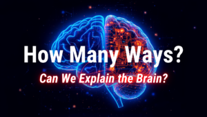 Read more about the article How Many Ways Can We Explain the Brain?