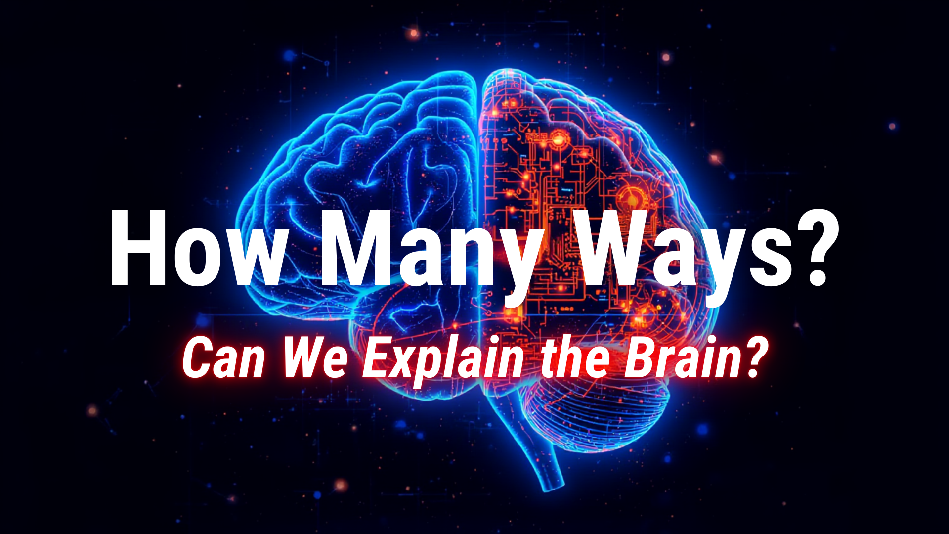 Read more about the article How Many Ways Can We Explain the Brain?