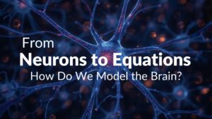 Read more about the article From Neurons to Equations: How Do We Model the Brain?