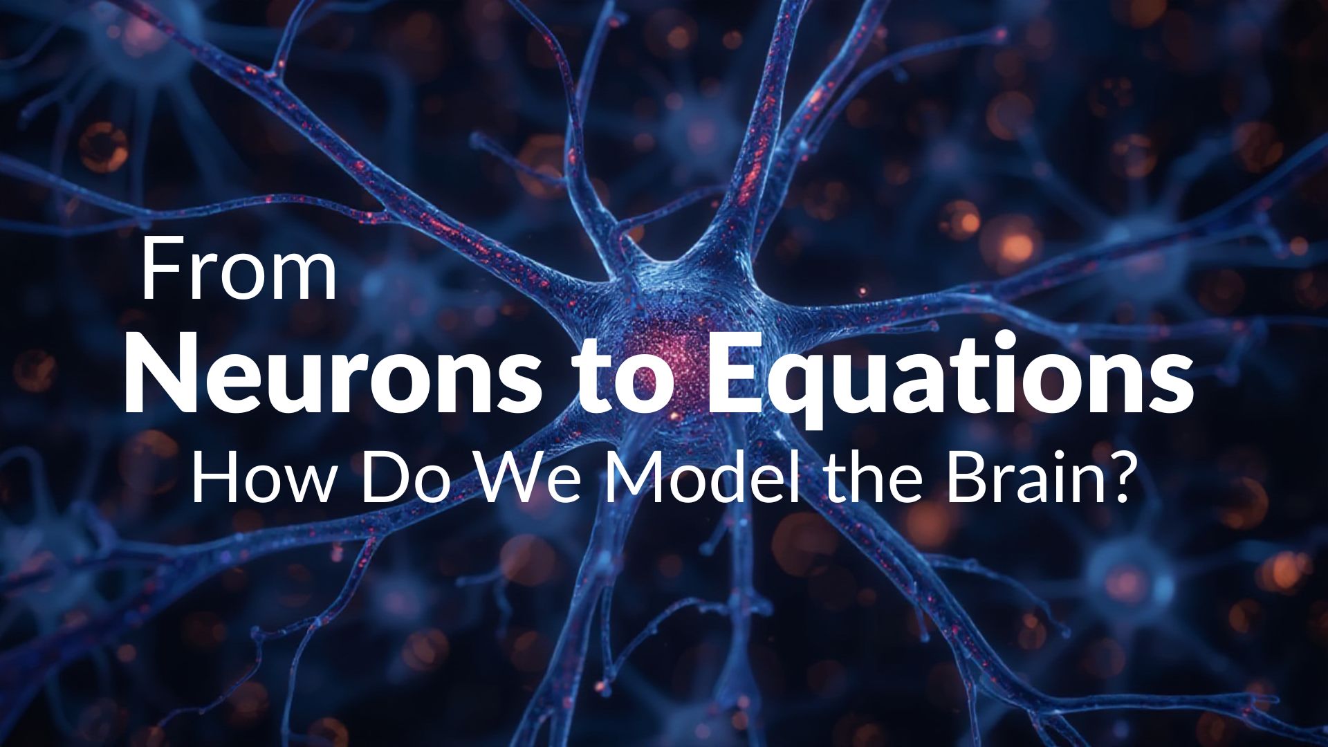 Read more about the article From Neurons to Equations: How Do We Model the Brain?