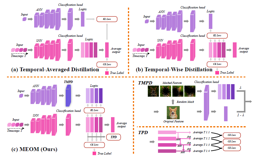 Read more about the article Many Eyes, One Mind: A New Step Forward for Spiking Neural Networks
